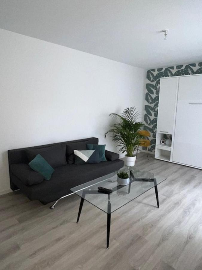 Un Havre De Paix En Plein Coeur De Ville Pres Chu Κλερμόν Φεράν Εξωτερικό φωτογραφία